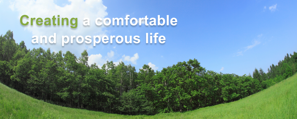 Creating a comfortable and prosperous life